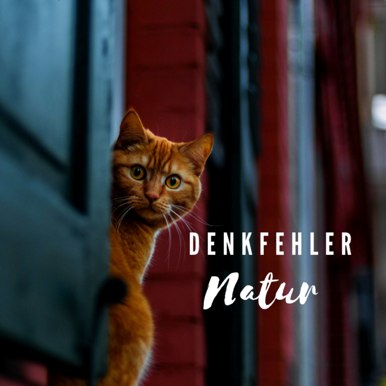 Read more about the article Denkfehler Natur