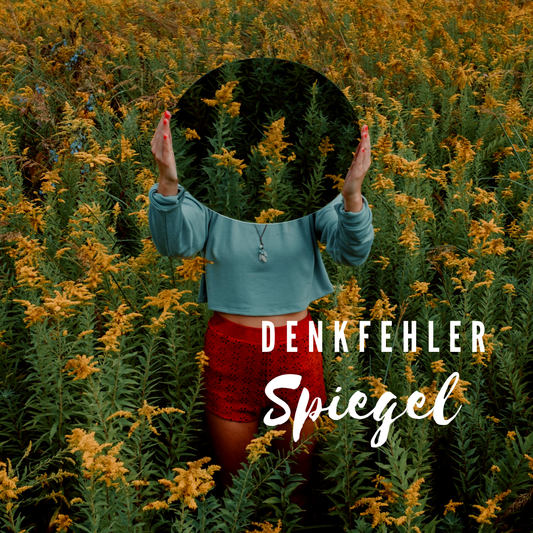 Read more about the article Denkfehler Spiegel
